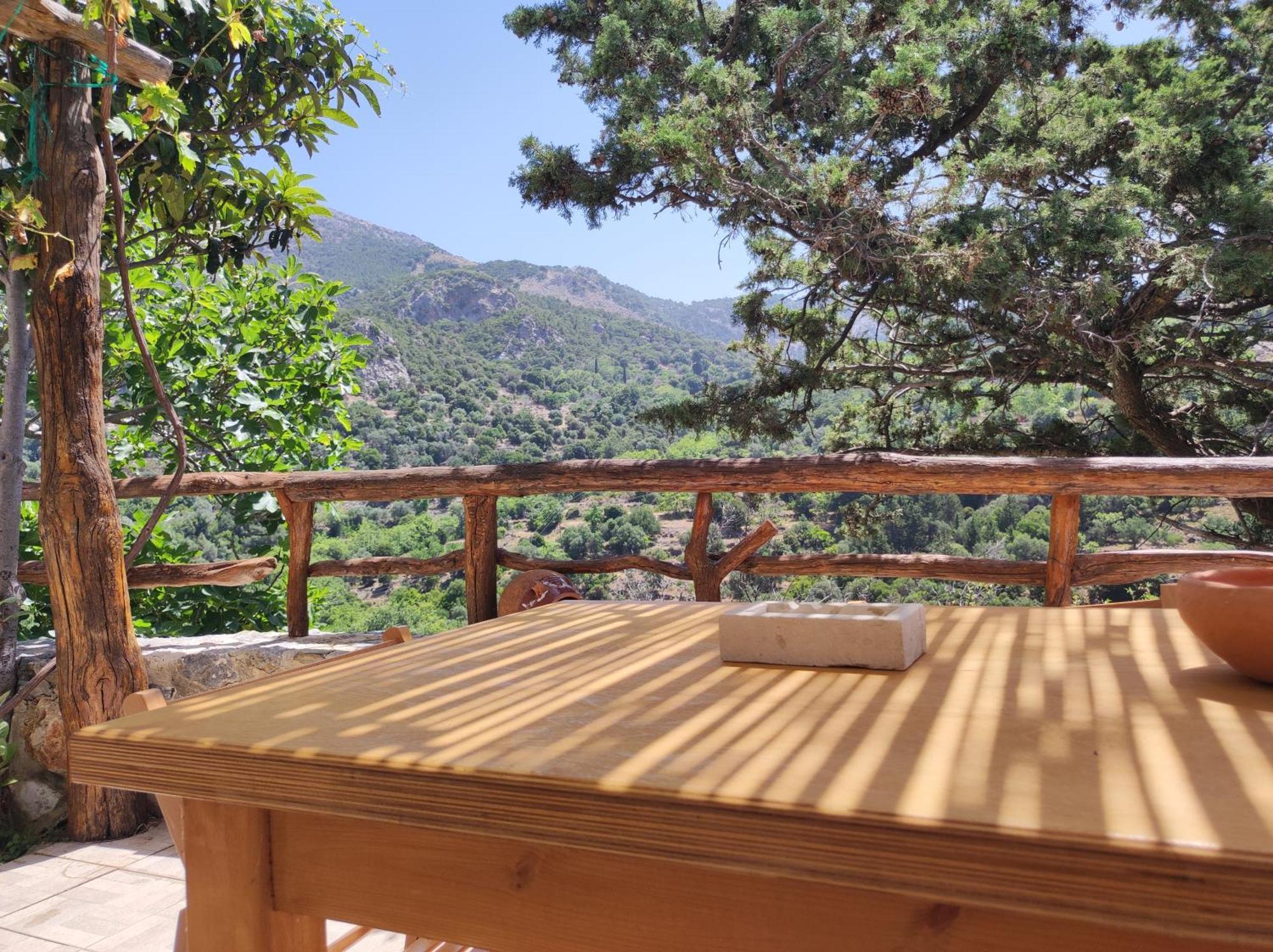 Villa Kato Symi House à Kato Simi Extérieur photo