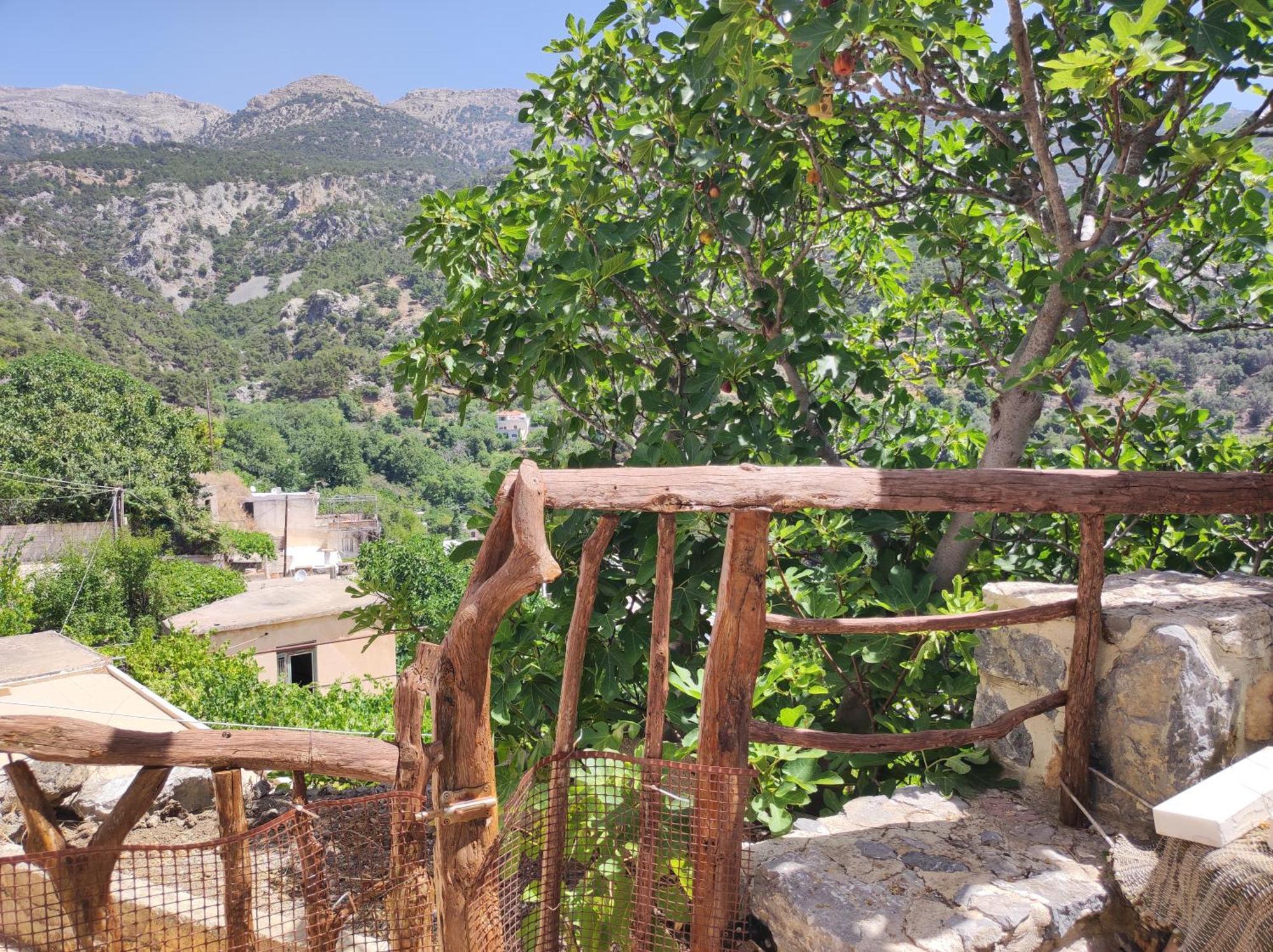 Villa Kato Symi House à Kato Simi Extérieur photo